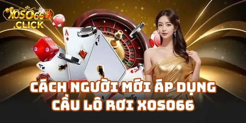 Tìm Hiểu Cầu Lô Rơi Xoso66 Có Đáng Tin Không? 3 Cách Người Mới Bắt Đầu Áp Dụng Cầu Lô Rơi Xoso66 Hiệu Quả