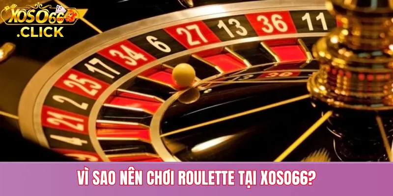 Lý do nên chơi Roulette tại Xoso66: giao diện 3D, tốc độ ổn định, bảo mật cao và nhiều khuyến mãi
